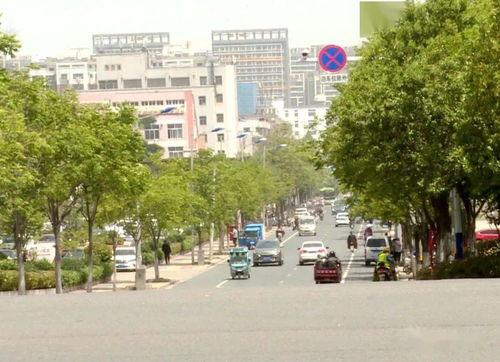 泗阳最新爆料,揭秘当地热点事件背后的真相  第3张